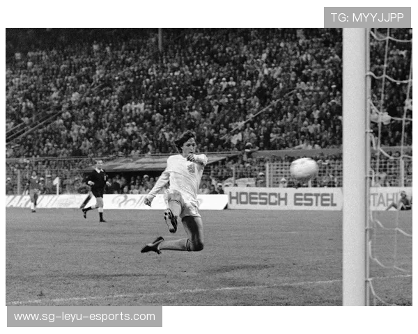 世界杯盛况回顾：足坛巅峰对决精华重现，世界杯殿堂经典回顾